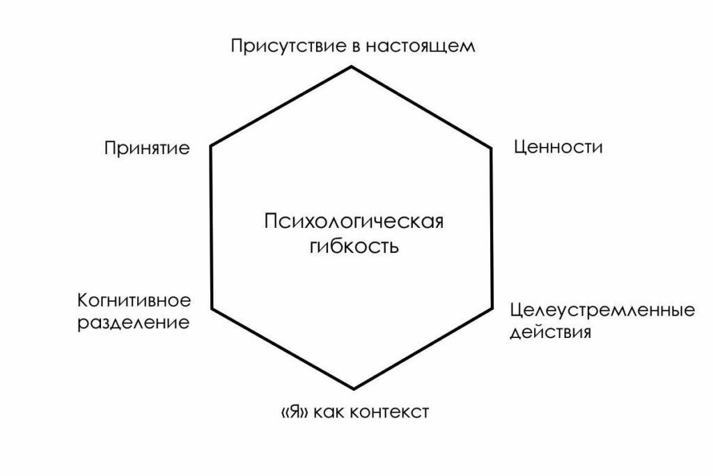 Гексафлекс Гексафлекс
