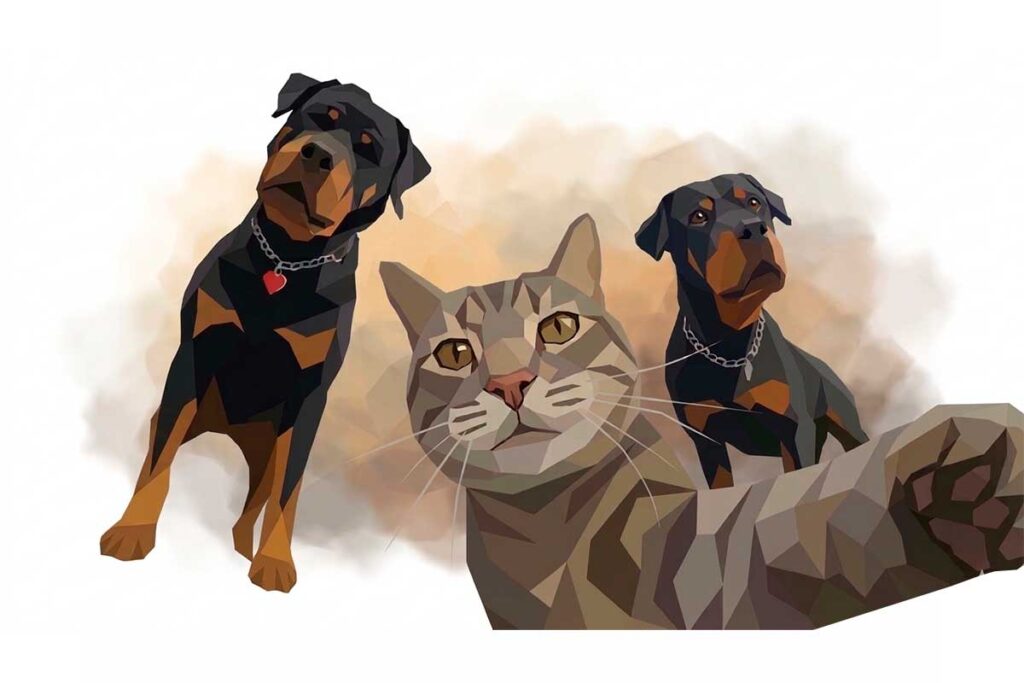 Как справиться с тревожностью